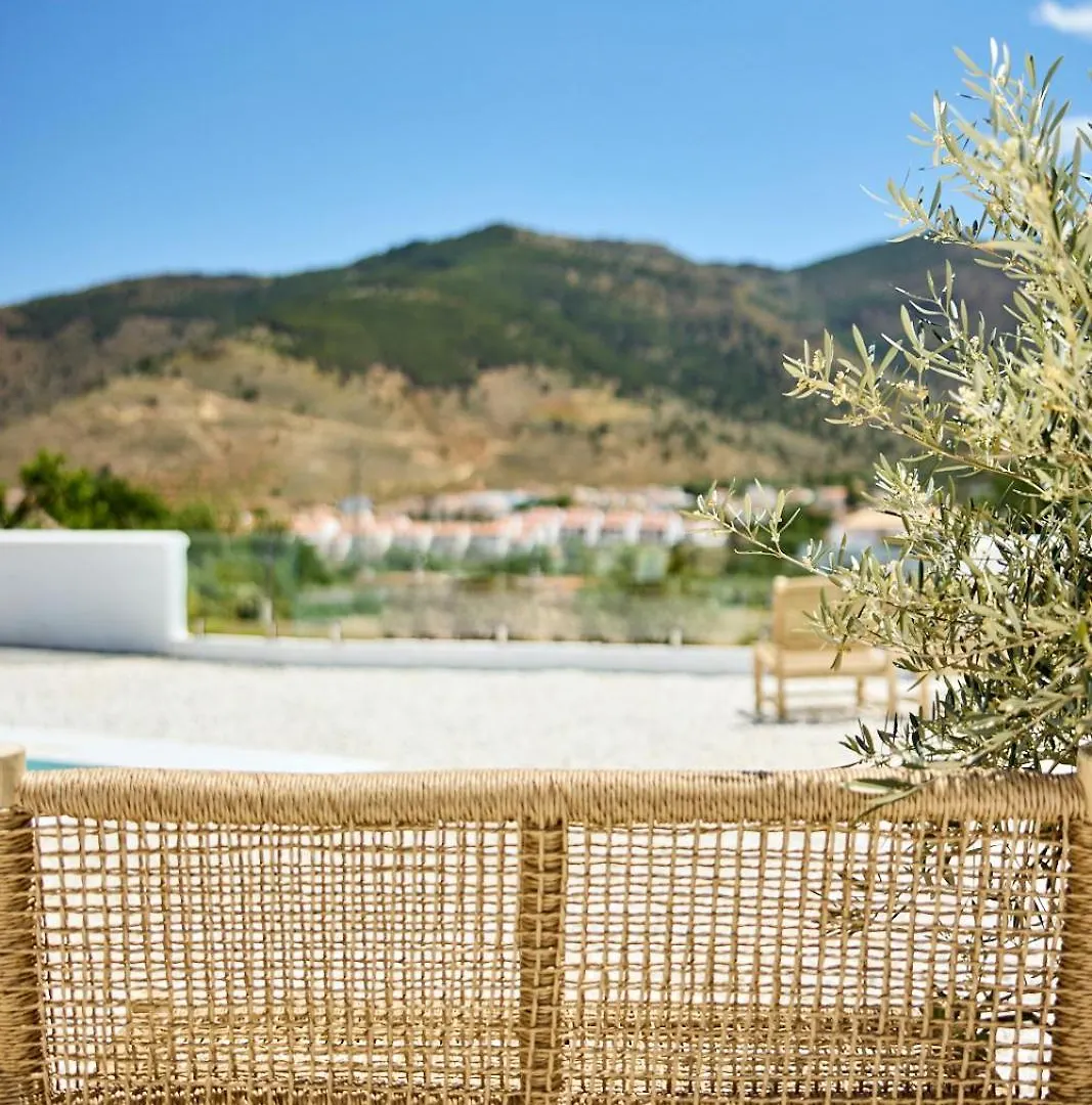 Rustico Apartment Benecid