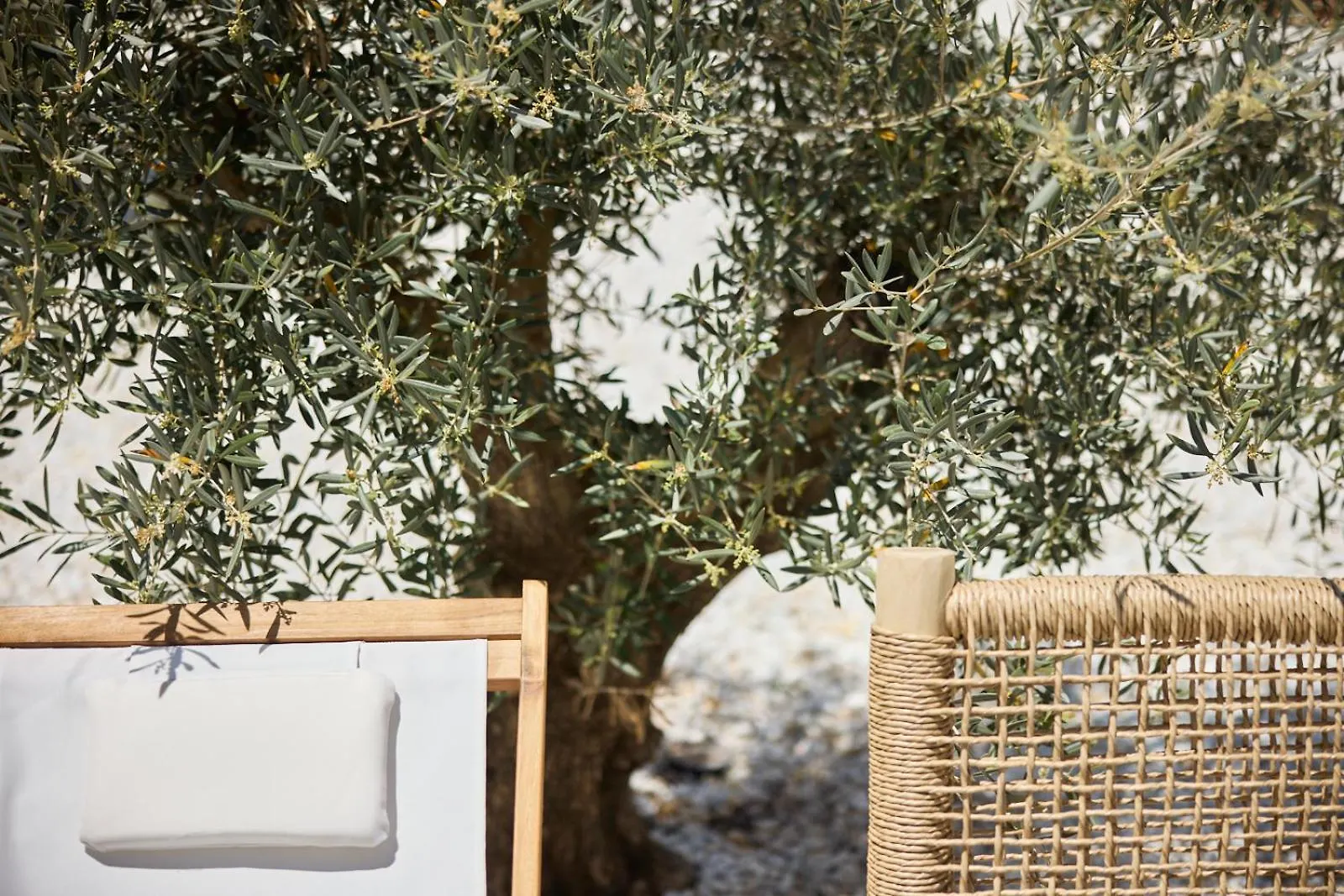 Rustico Apartment Benecid